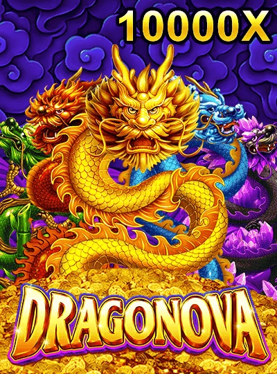 88vd